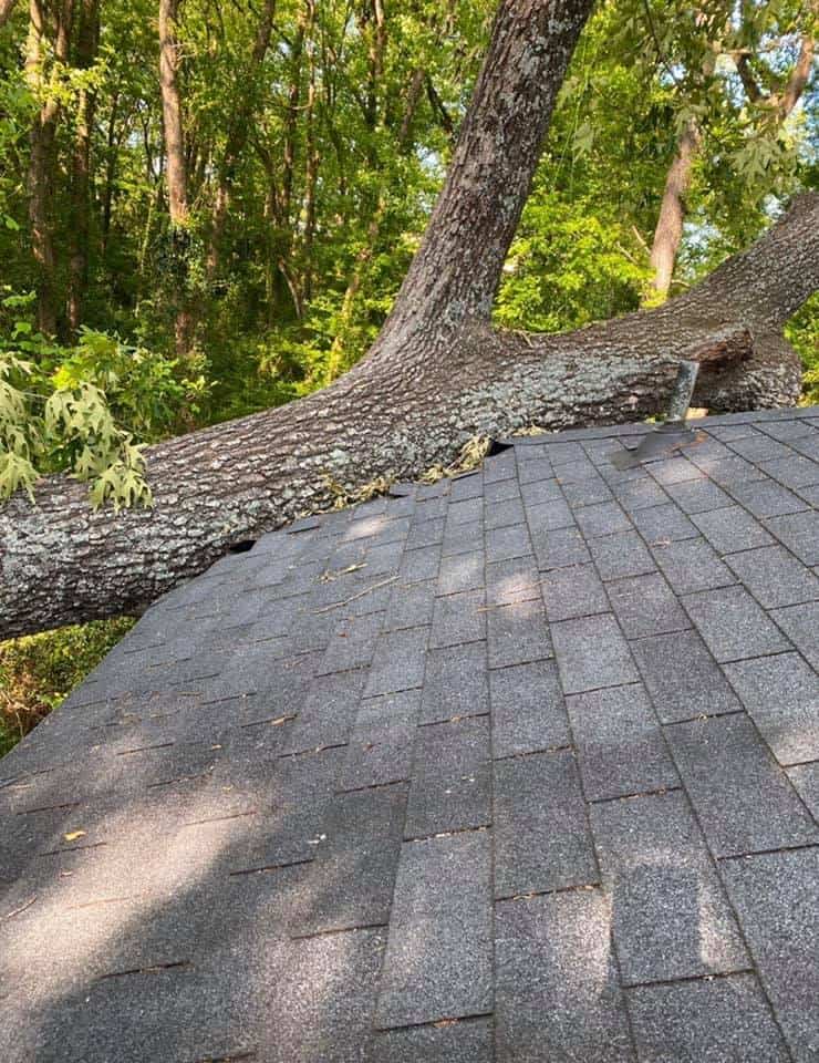 Six Unexpected Things That Could Ruin Your Roof